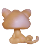 #0114 Kitten